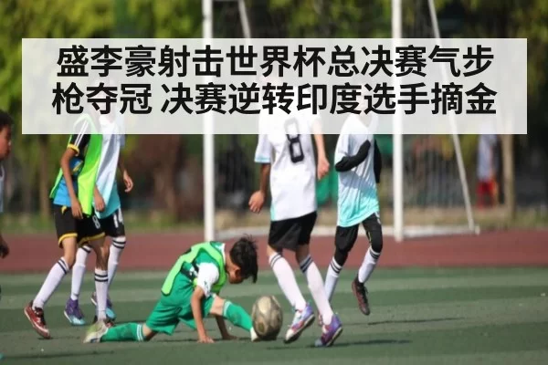 盛李豪射击世界杯总决赛气步枪夺冠 决赛逆转印度选手摘金